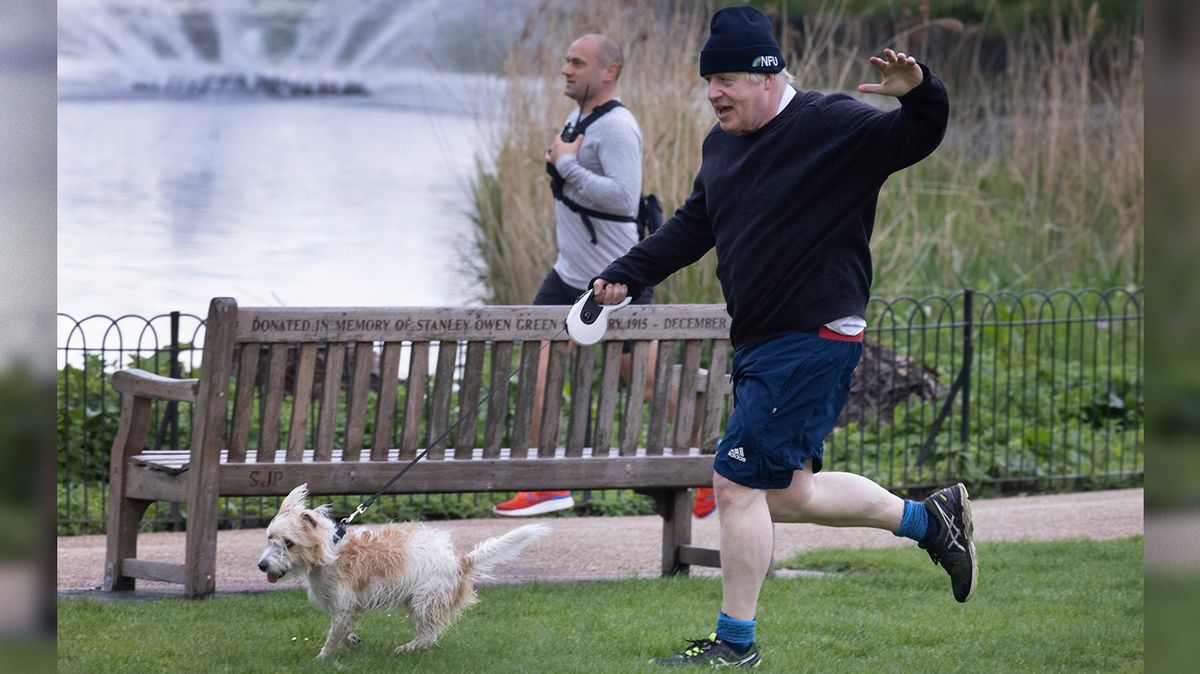 Britskému premiérovi dělá starosti „milostné puzení“ jeho psa Dilyna